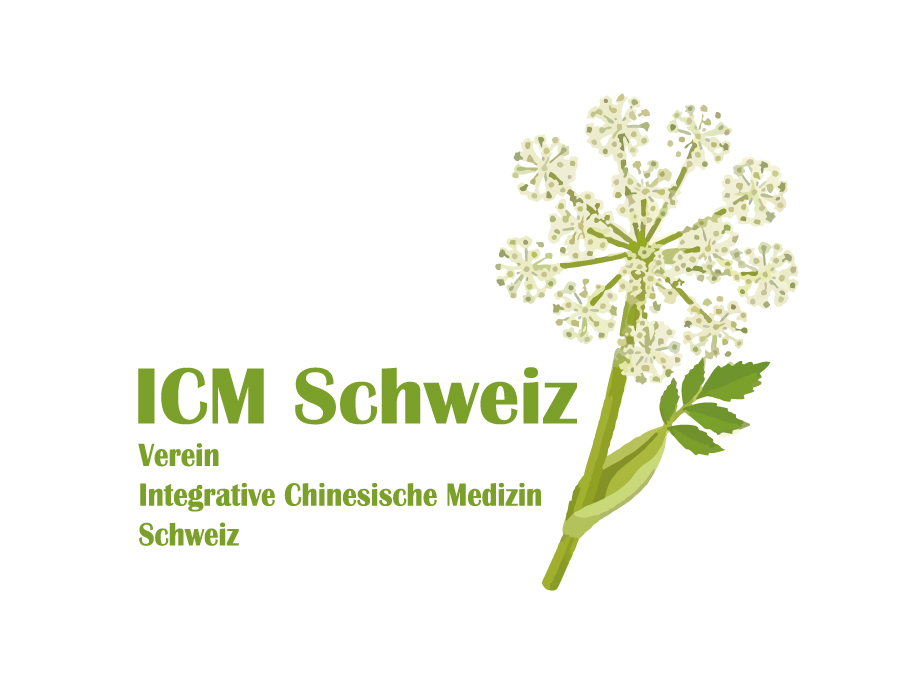 Vereinsgründung am 26.8.2024